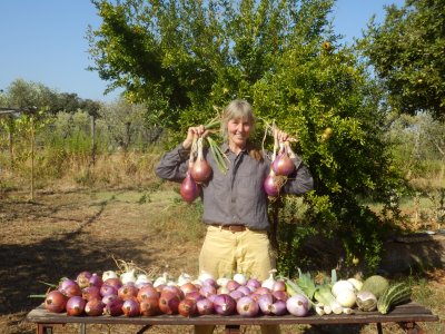 Ennesimo raccolto eccezionale per l’orto autoirrigante