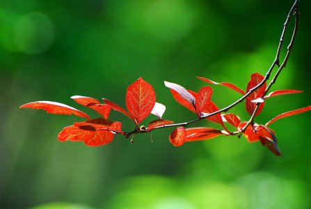 Cambiare si può, eccome! E non c'è bisogno di essere ricchi per farlo!