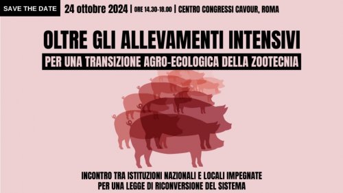 Cinque associazioni: «L’inquinamento degli allevamenti intensivi contribuisce alla morte di 50.000 persone in Italia»