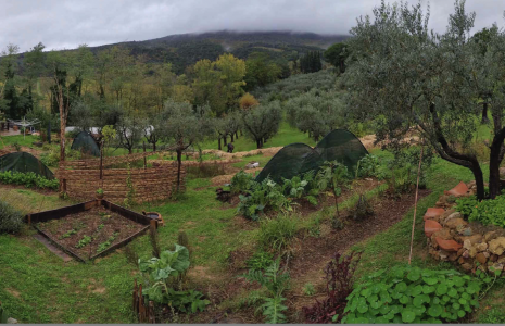 Ritorno al futuro: la fondamentale importanza delle foreste