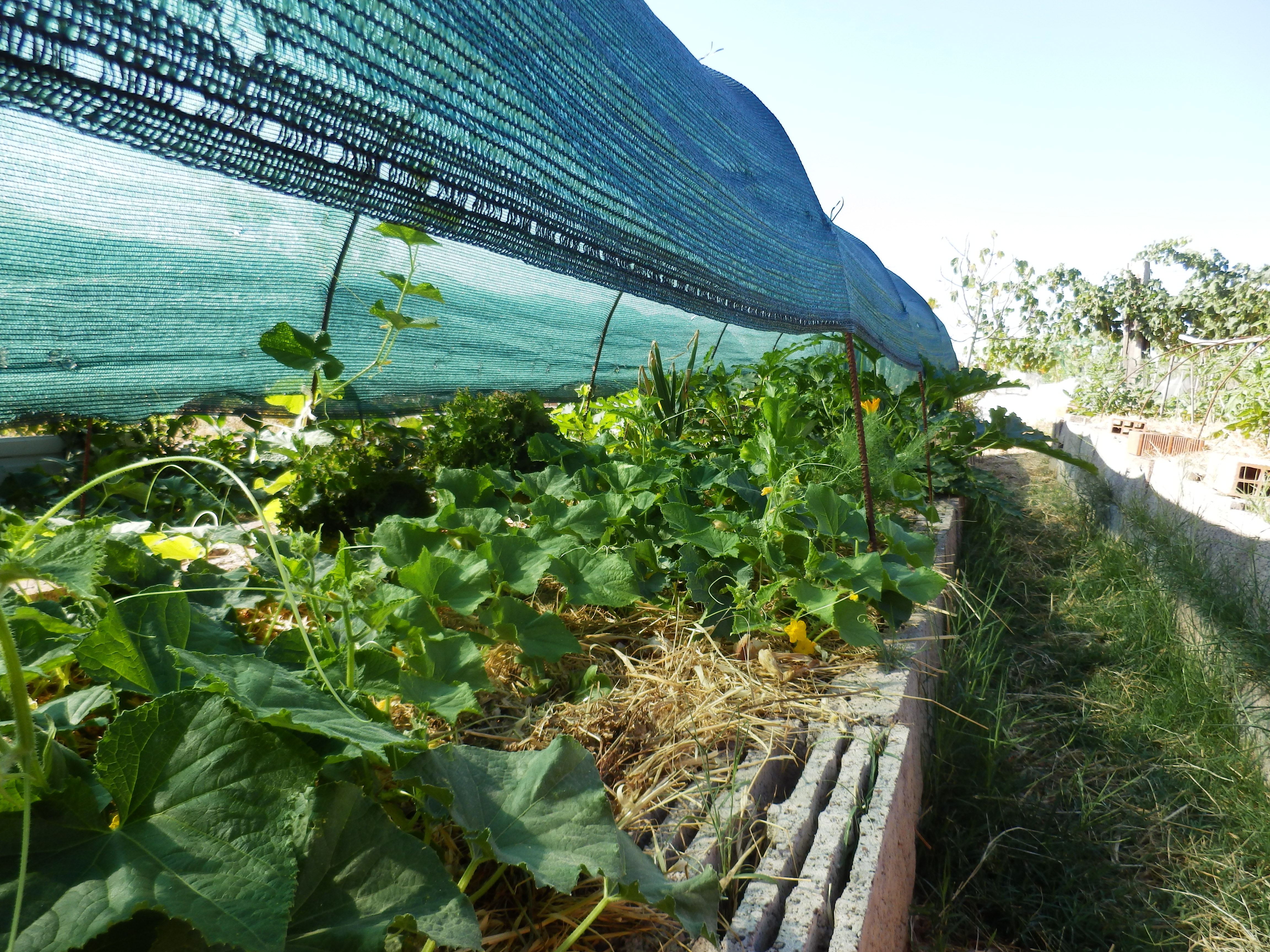 Le ombreggiature per l'orto e il campo: importantissime con il grande caldo