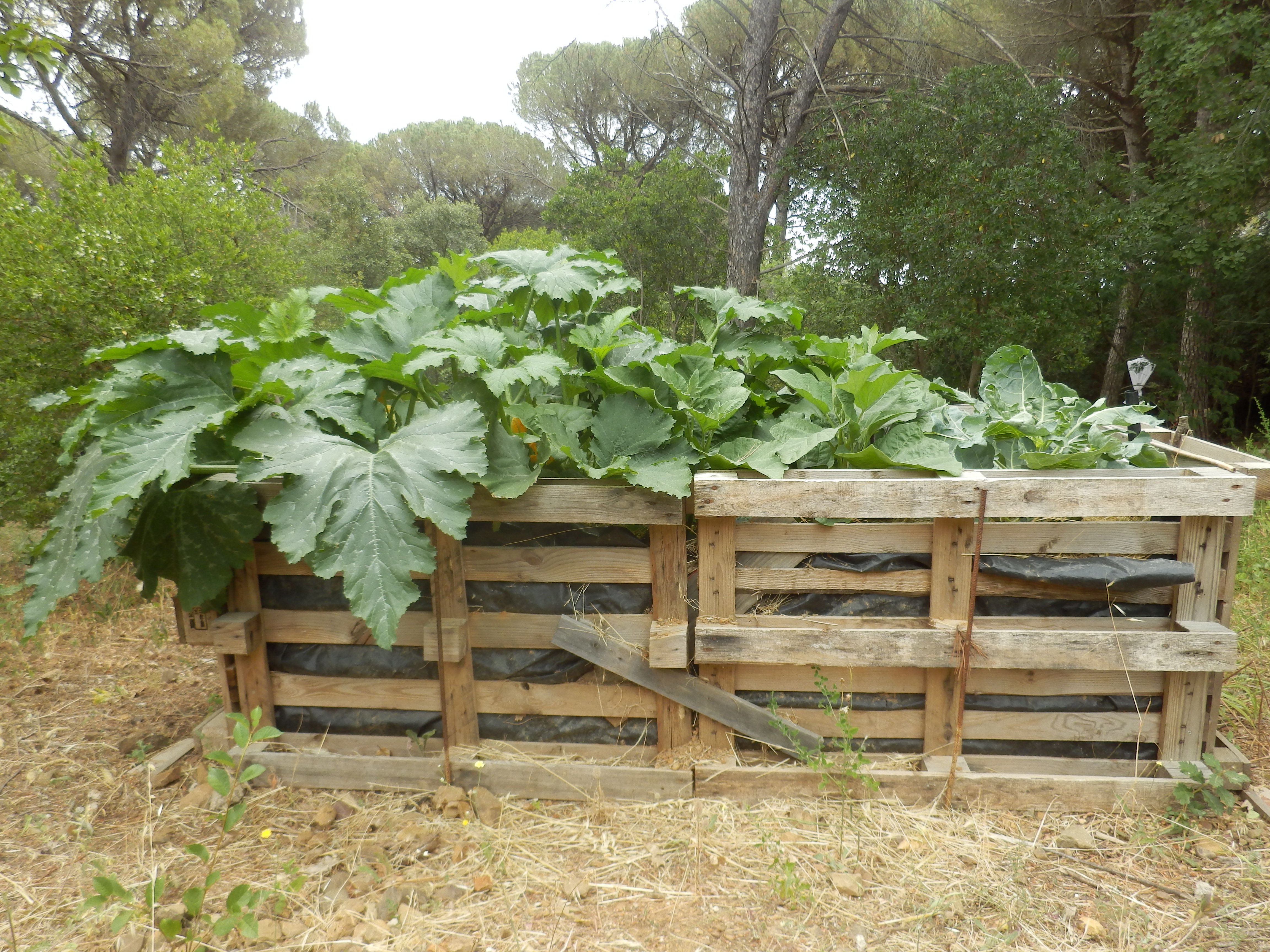 Podere Alba Verde